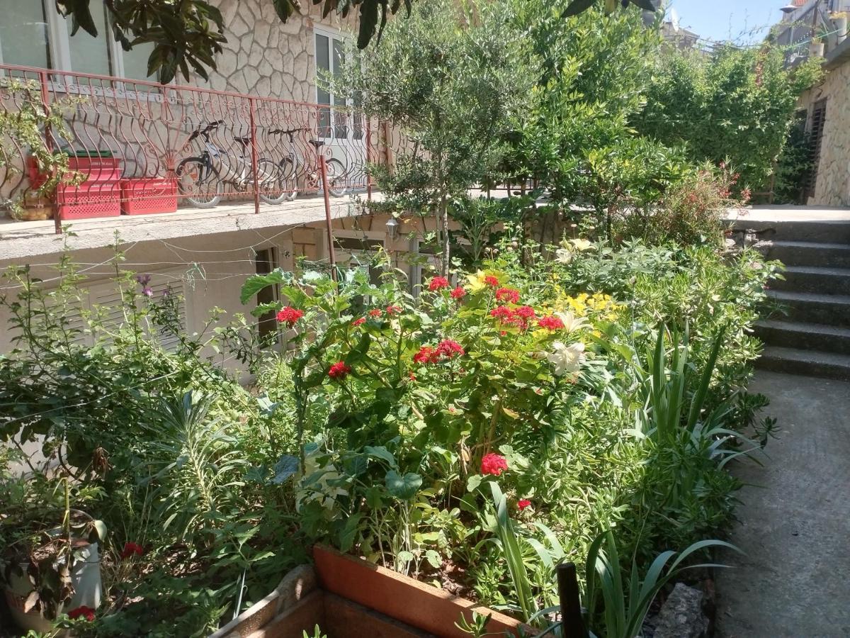 Apartment Piko2 Jelsa (Hvar)